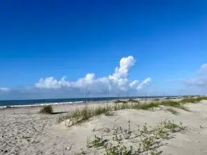 5802 Palmetto Drive #B314, Isle Of Palms, SC 29451 - Image #3