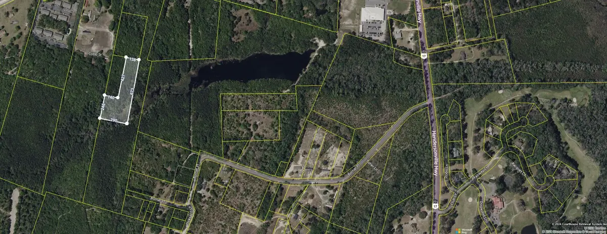 O Cobb Ct Interior Parcel, Walterboro, SC 29488 - Image #1