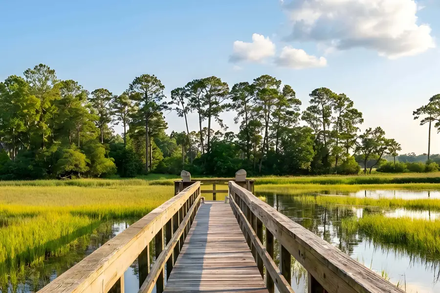 79 Trailing Vine Way, Kiawah Island, SC 29455 - Image #2