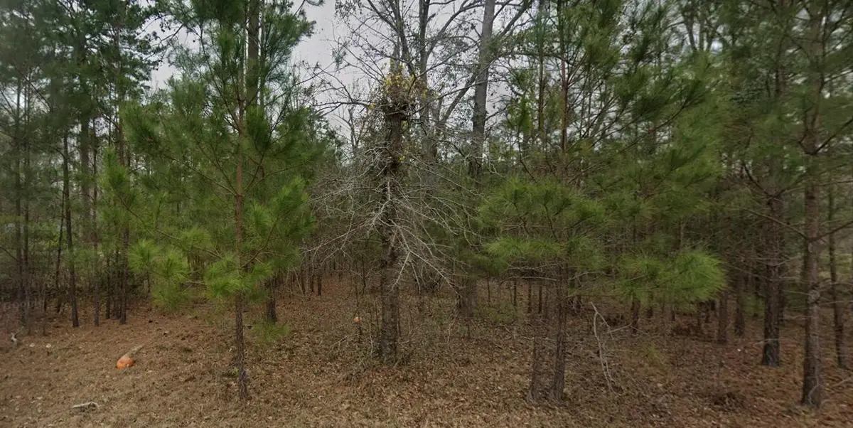 2762 Myrtle Drive, Orangeburg, SC 29115 - Image #1