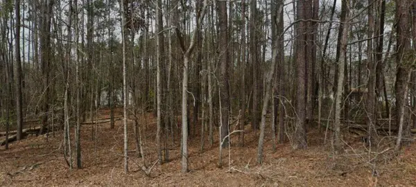 968 Fawn Lane, Orangeburg, SC 29115