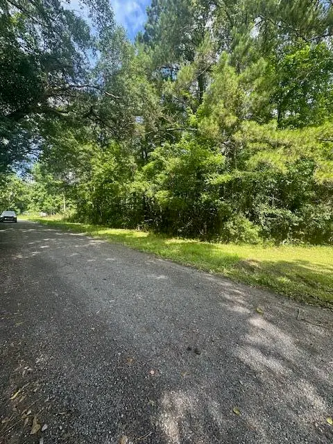 0 Duberry Lane, Ridgeville, SC 29472 - Image #2