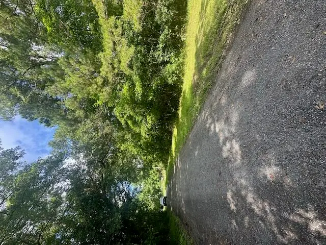 0 Duberry Lane, Ridgeville, SC 29472 - Image #3