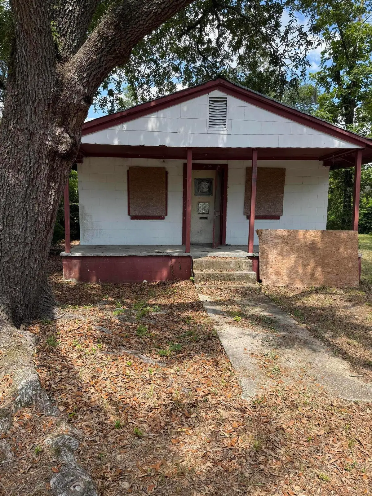 204 Lewis Street, Walterboro, SC 29488 - Image #1
