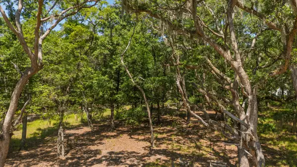 31 Tupelo Trail, Edisto Island, SC 29438