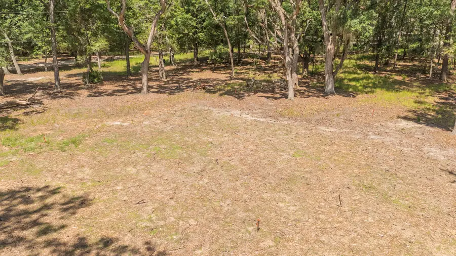 31 Tupelo Trail, Edisto Island, SC 29438 - Image #2