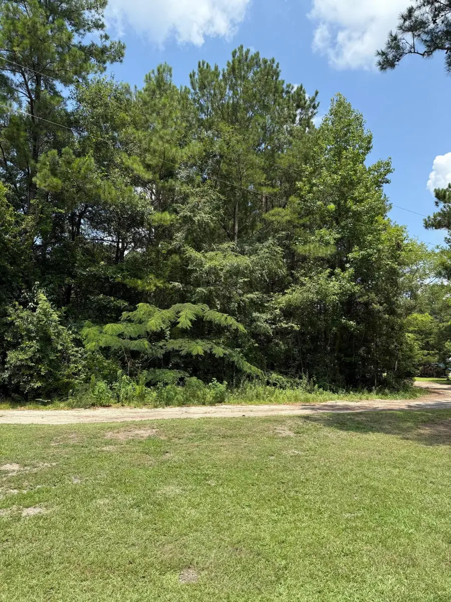 0 Mudville Road, Cross, SC 29436 - Image #3
