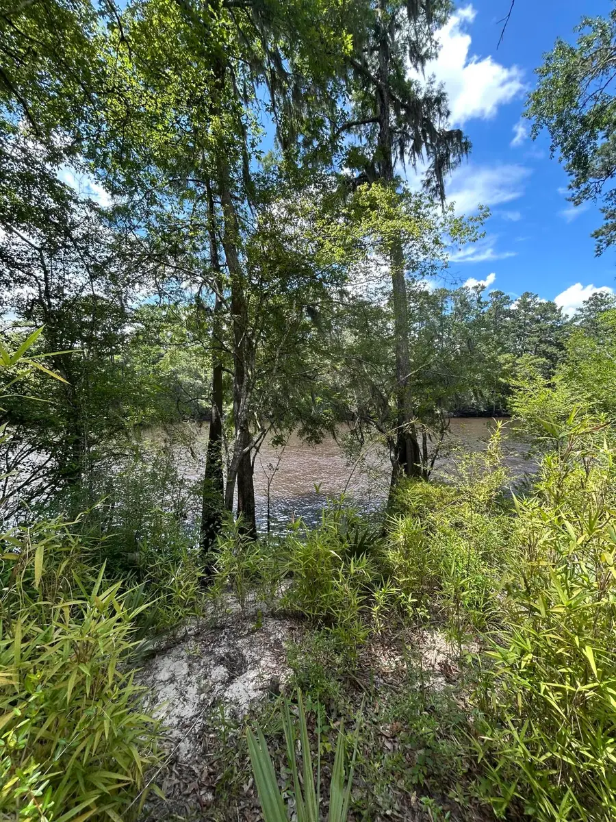 00 Shad Lane, Ridgeville, SC 29472 - Image #2