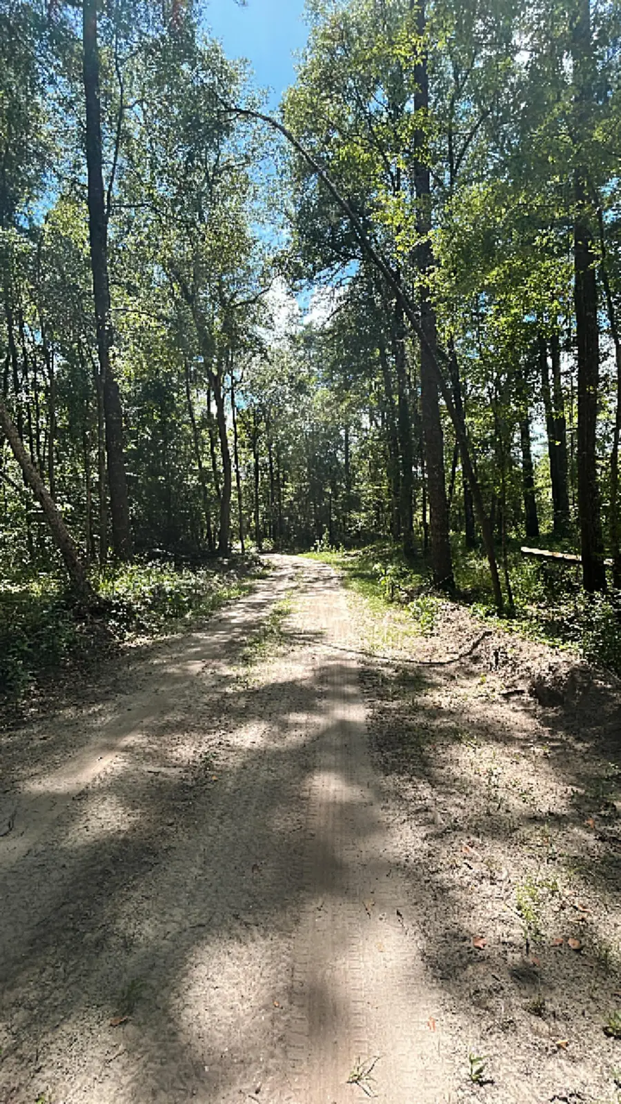 00 Shad Lane, Ridgeville, SC 29472 - Image #3