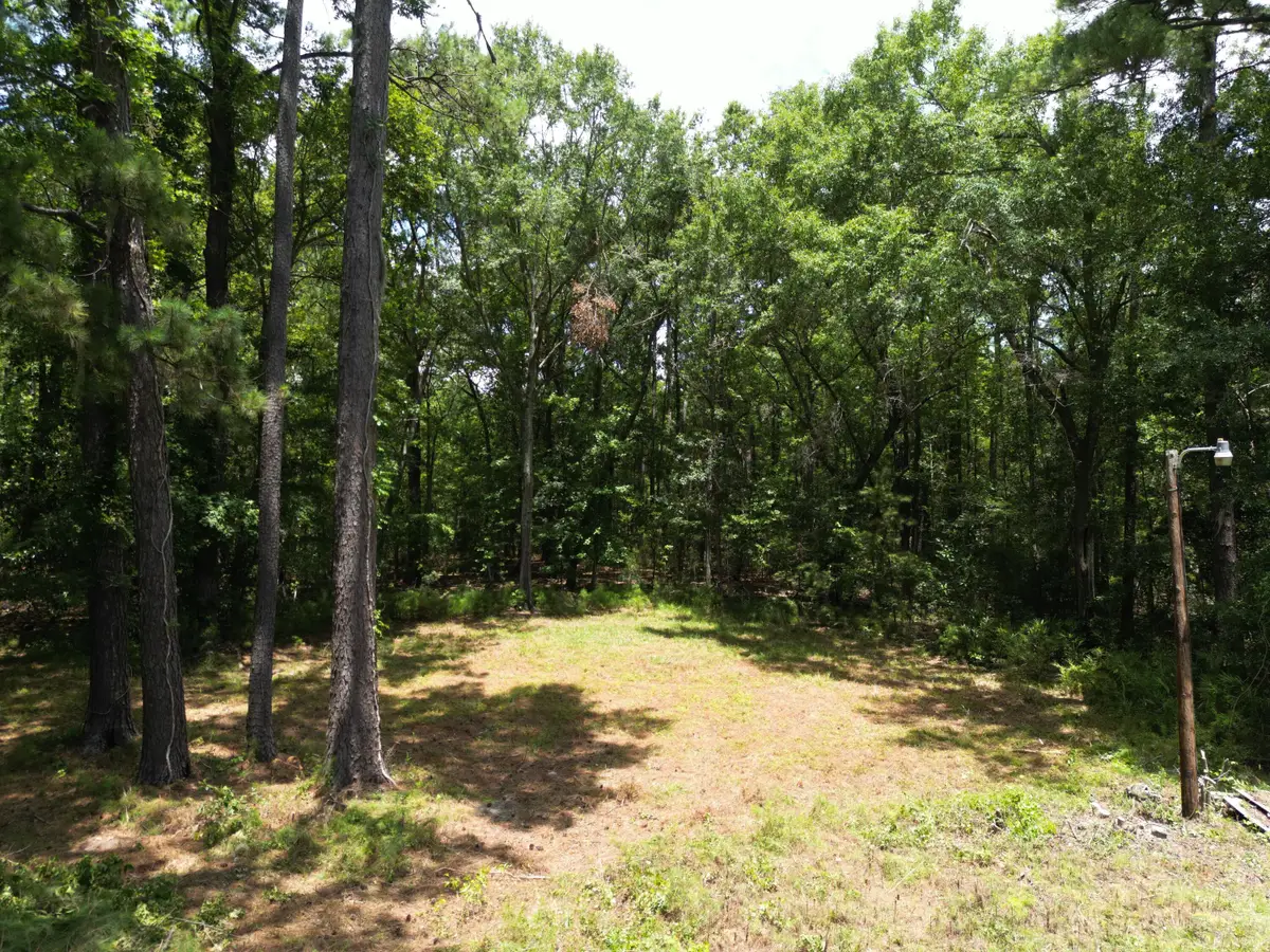 5810 Dixie Plantation Road, Hollywood, SC 29449 - Image #1