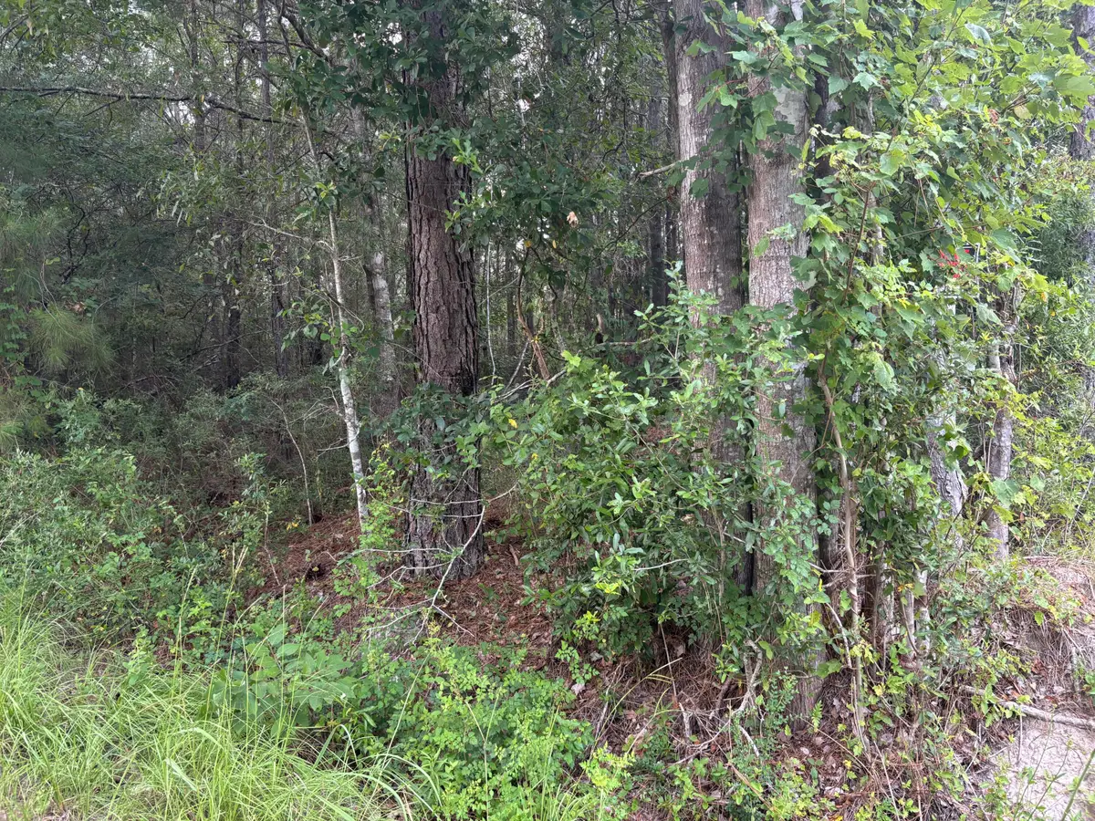 0 Walker Road, Ridgeville, SC 29472 - Image #1