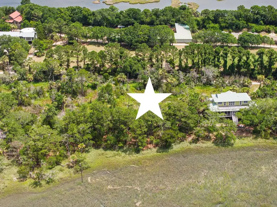 266 Old House Lane #Lot 120, Dewees Island, SC 29451 - Image #2
