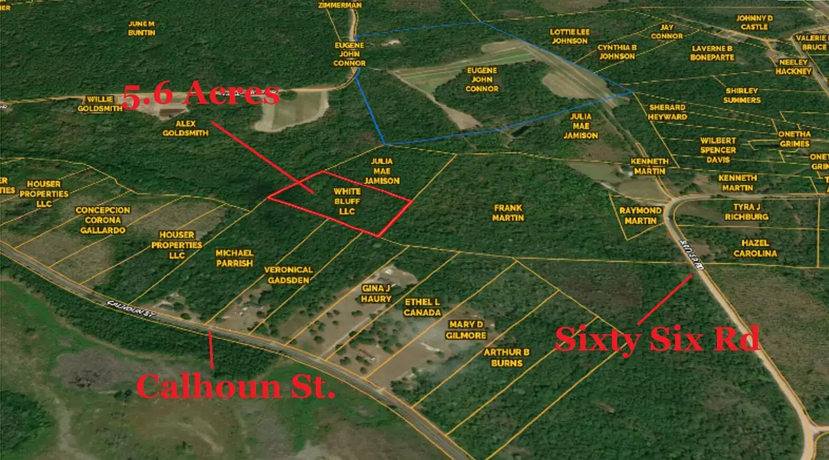 0 Calhoun Street, Branchville, SC 29432 - #1