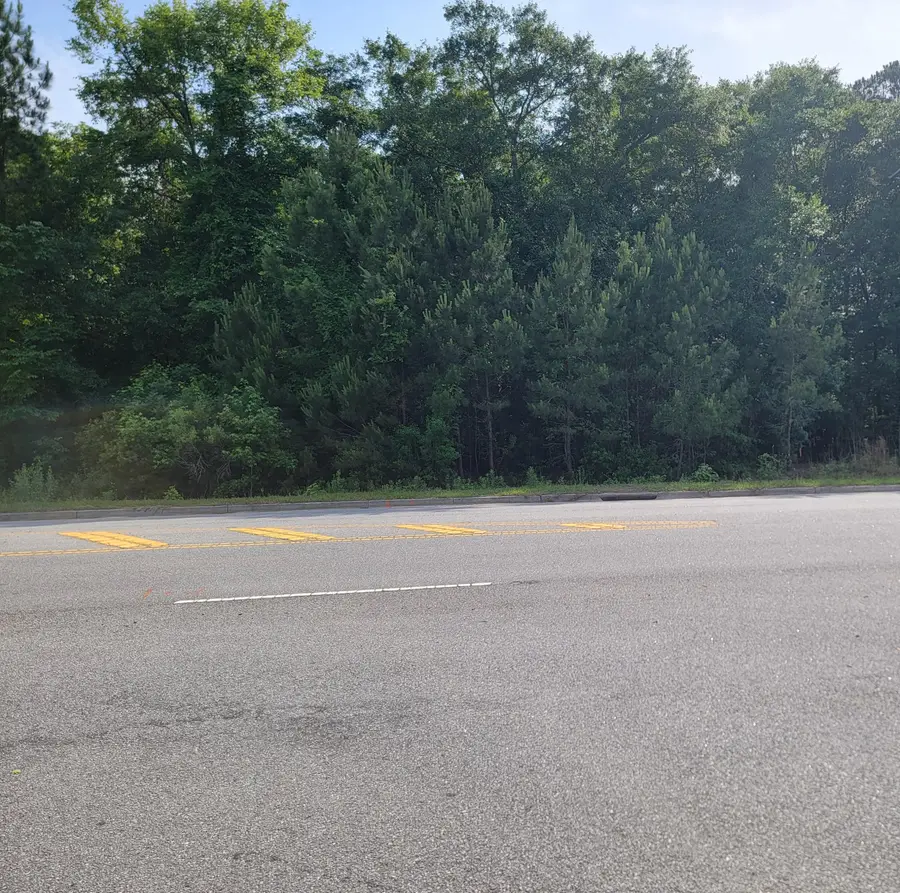 0000 Hamlin Road, Mount Pleasant, SC 29466 - #2