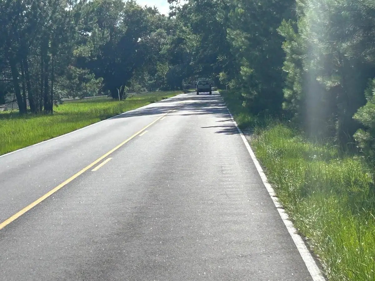 5856 Martin Street #Lot 4, Ravenel, SC 29470 - Image #1