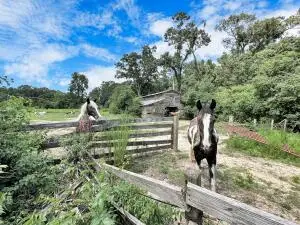 781 Clydeville Lane, Cottageville, SC 29435 - Image #3