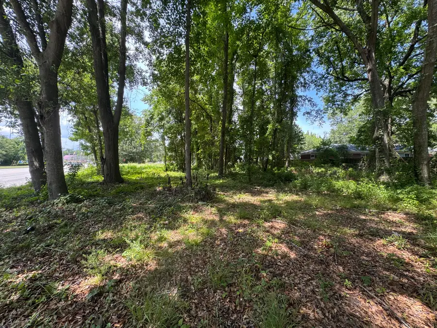 1206 Folly Road, James Island, SC 29412 - Image #3