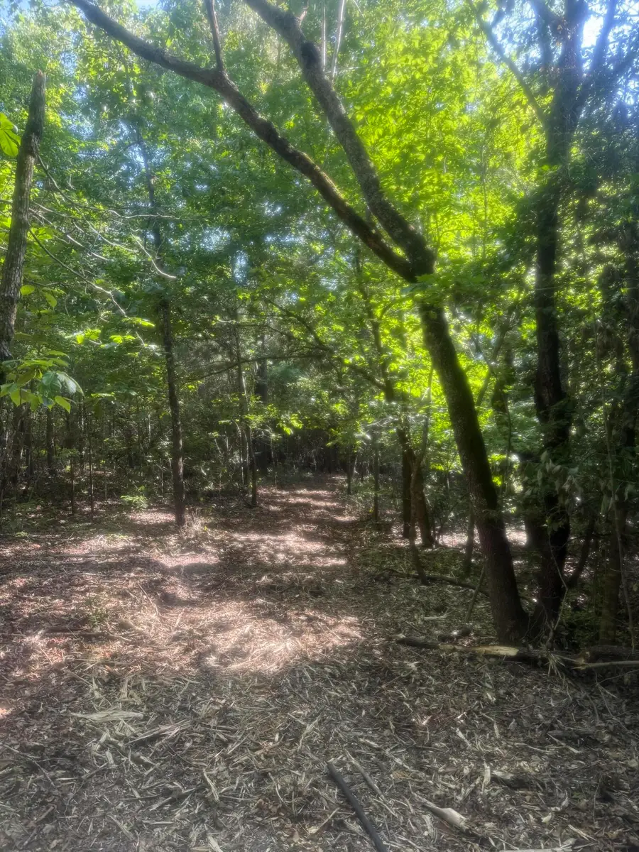 Hhf 3 Old Georgetown Road W #Hhf 3, Westville, SC 29175 - Image #3