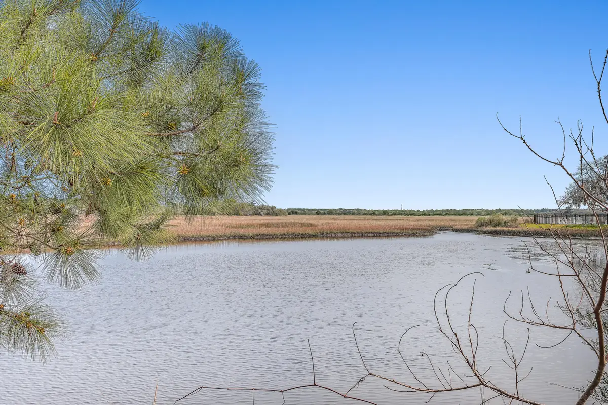 550 Towles Crossing Drive, Johns Island, SC 29455 - #1