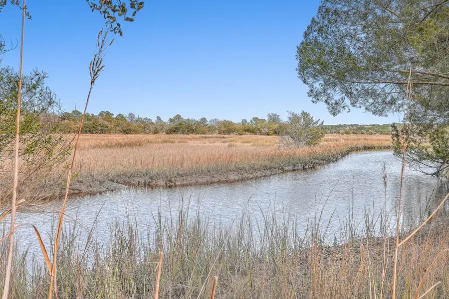 550 Towles Crossing Drive, Johns Island, SC 29455 - #2