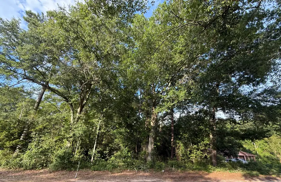 0 Hidden Drive, Orangeburg, SC 29115 - Image #2