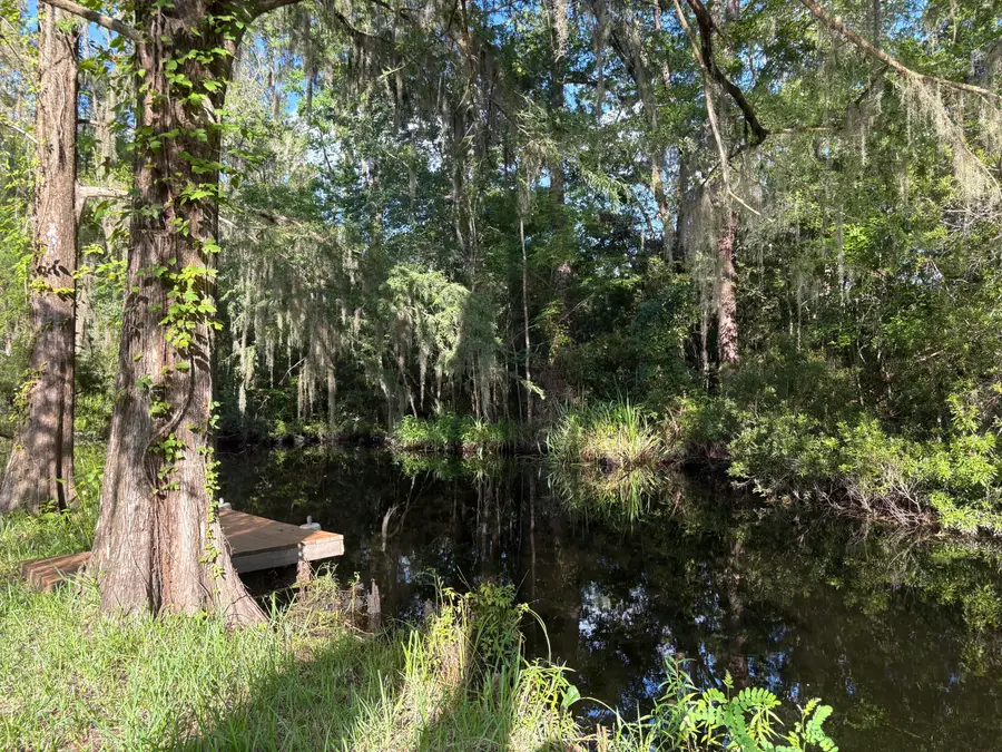 3323 Prices Bridge Lane, Walterboro, SC 29488 - Image #2