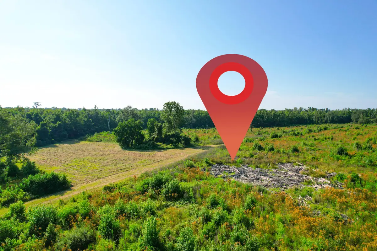 0 Featherbed Road, Walterboro, SC 29488 - Image #1