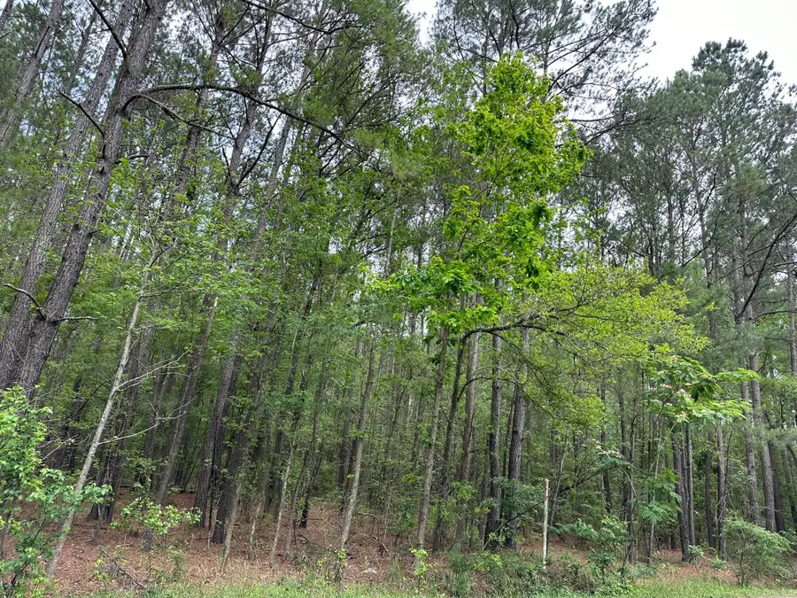 02 Mallard Road, Summerville, SC 29483 - Image #2