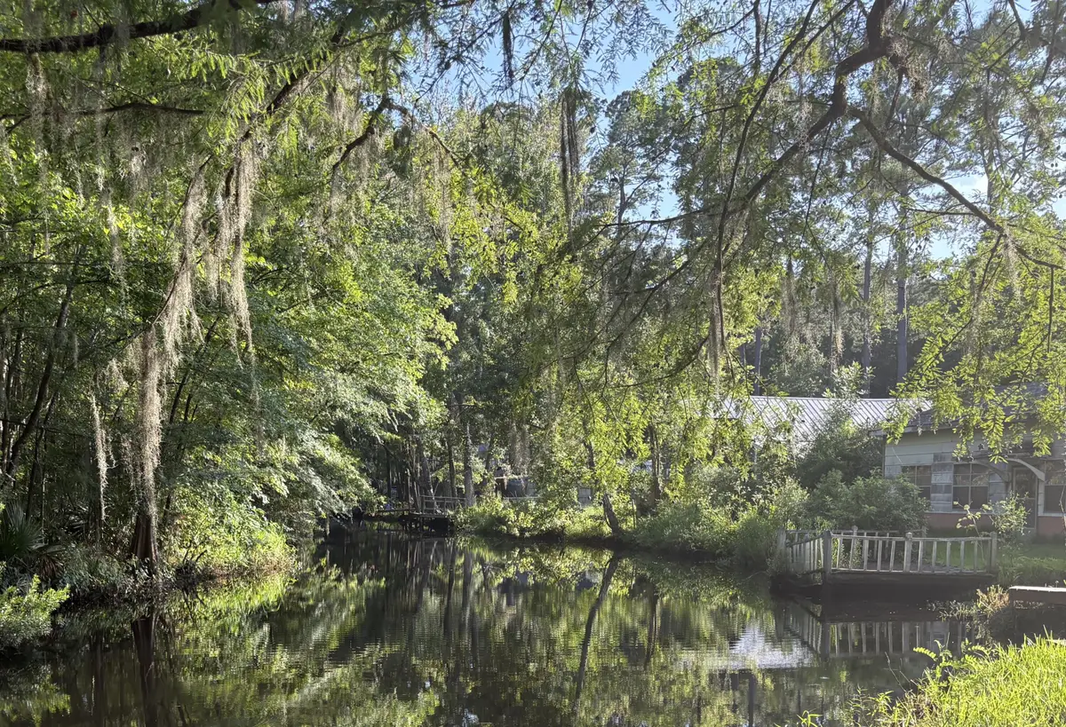 3345 Prices Bridge Lane, Walterboro, SC 29488 - Image #1