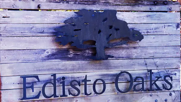 57 Seaside Road, Edisto Island, SC 29438