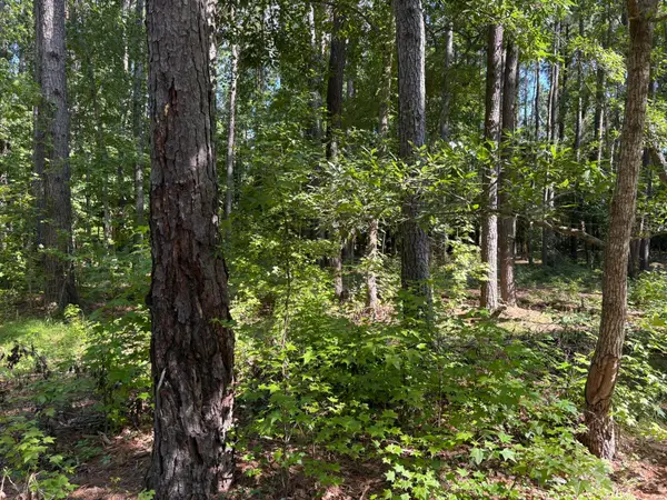 312 Weeks Landing Road, Lone Star, SC 29030