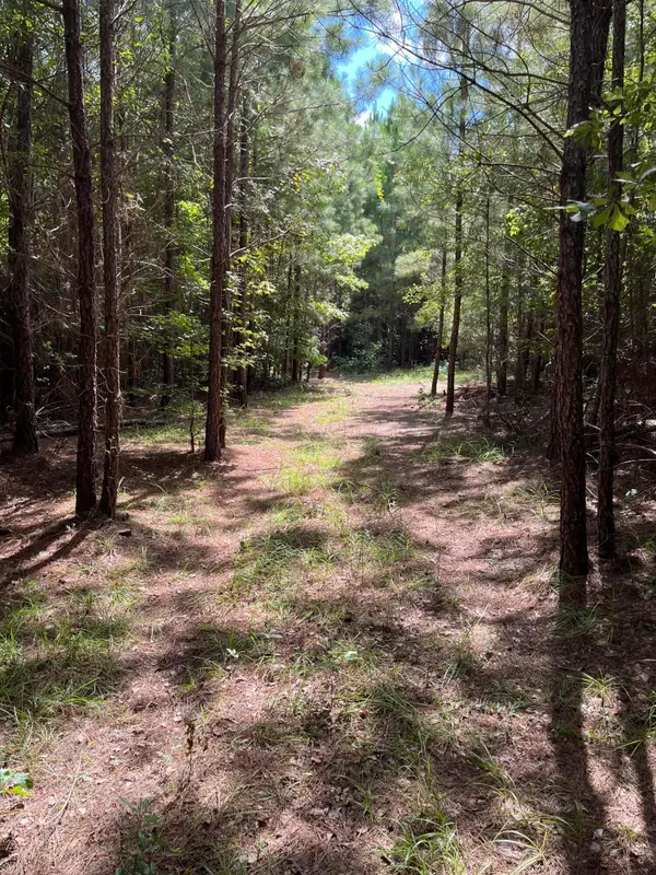 00 Cherry Hill Road, Orangeburg, SC 29115