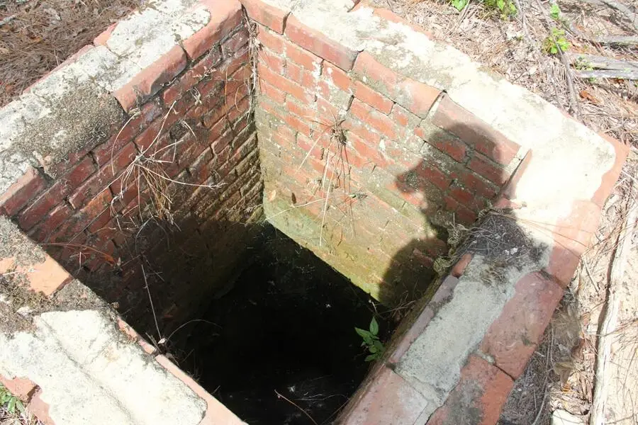 00 Limestone Road, Orangeburg, SC 29118 - Image #2