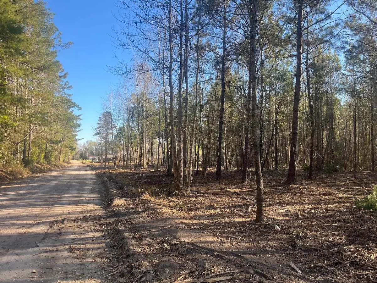 00 Praxis Court, Cottageville, SC 29435 - Image #1