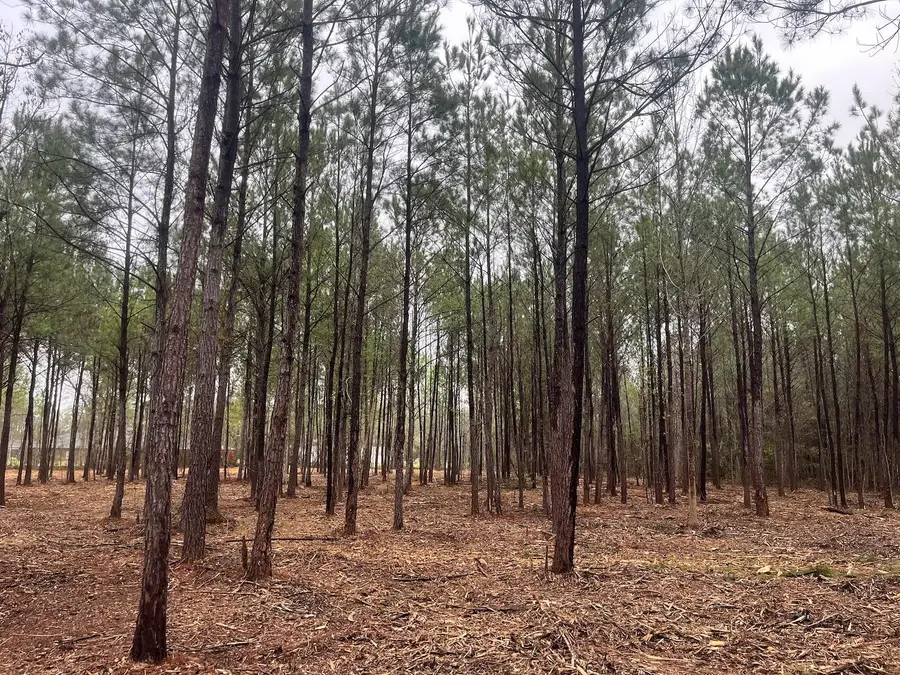 00 Praxis Court, Cottageville, SC 29435 - Image #2