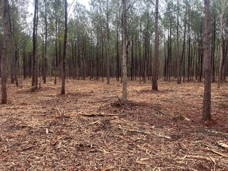 00 Praxis Court, Cottageville, SC 29435 - Image #3