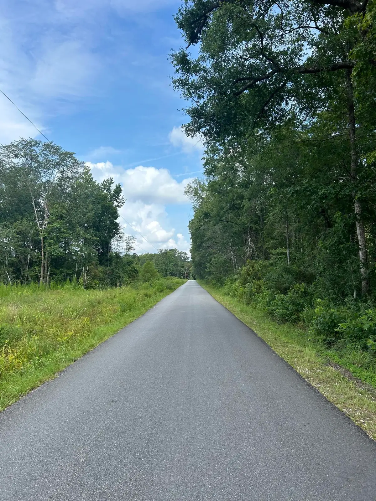 1 Boat Landing Road, Ridgeville, SC 29472 - Image #1