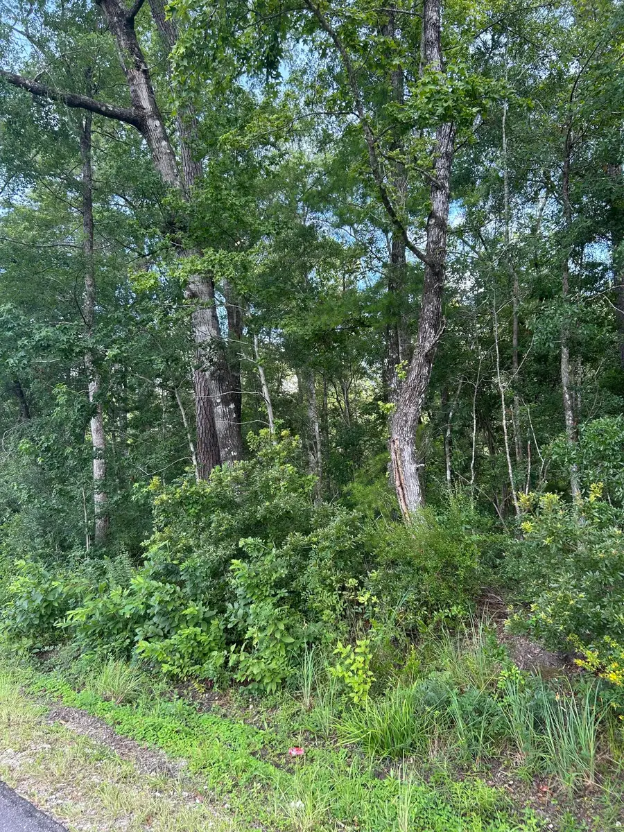 1 Boat Landing Road, Ridgeville, SC 29472 - Image #2