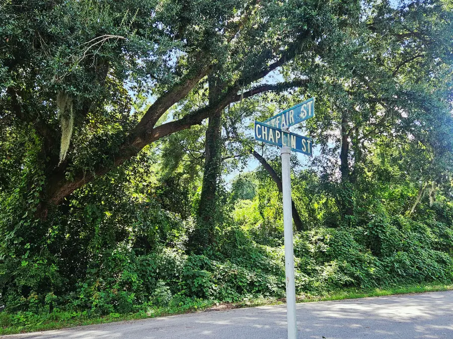 0 Chaplin Street, Walterboro, SC 29488 - Image #2