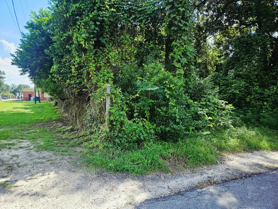 0 Chaplin Street, Walterboro, SC 29488 - Image #3