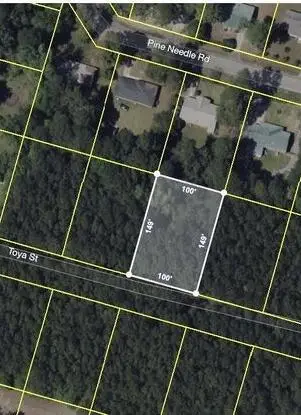 141 Toya Street, Walterboro, SC 29488