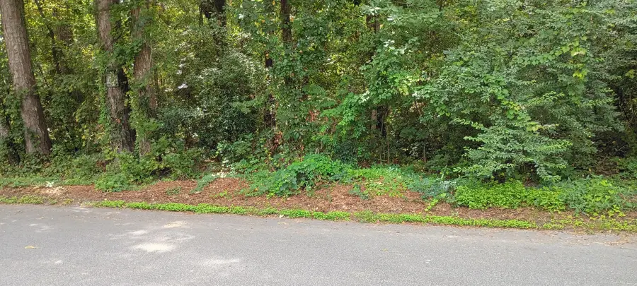 0 Oak Drive, Summerville, SC 29485 - Image #2