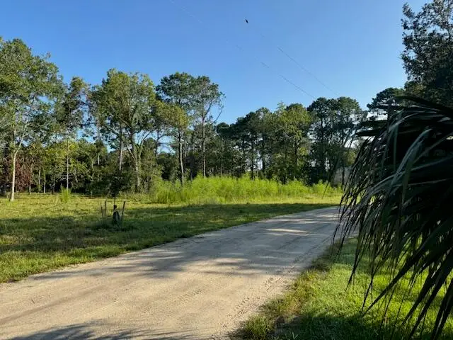 318 Mcclellan Avenue, McClellanville, SC 29458 - Image #3