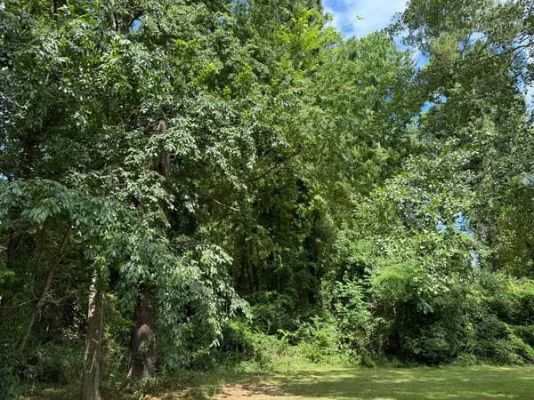 0 Off North Road, Orangeburg, SC 29118