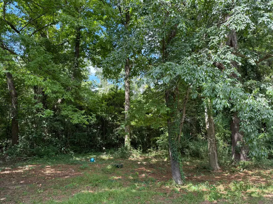 0 Off North Road, Orangeburg, SC 29118 - Image #3