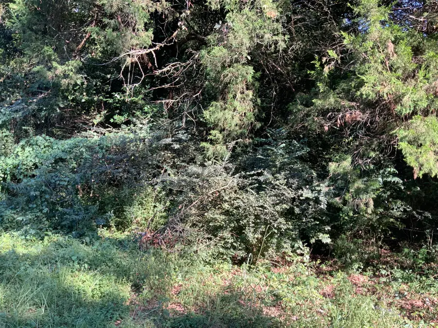 123 Dawsey Street, Cordova, SC 29039 - Image #3