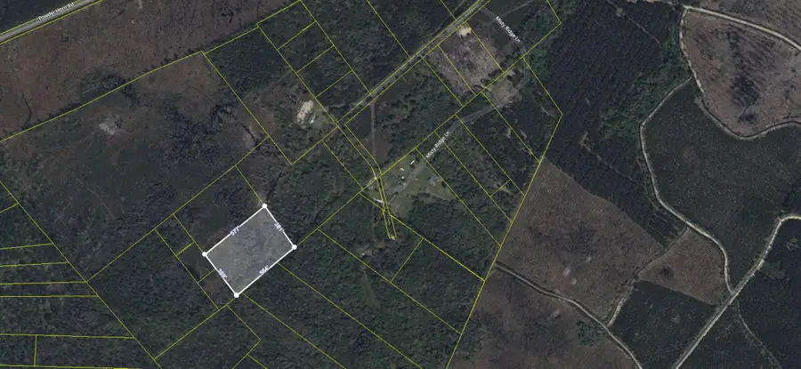 000 Misty Ridge Lane, Walterboro, SC 29488 - Image #2