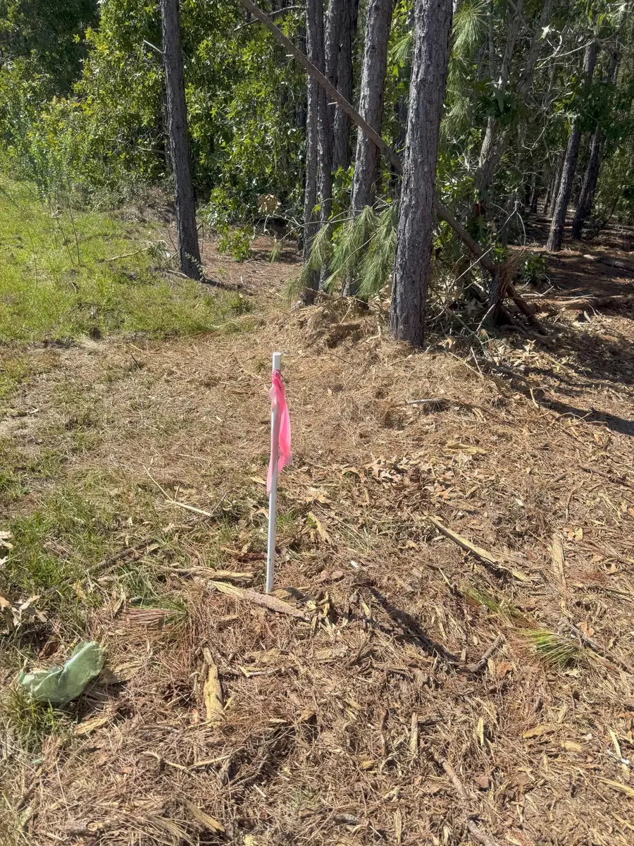 Kf 2 Keys Lane #Kf 2, Westville, SC 29175 - Image #2