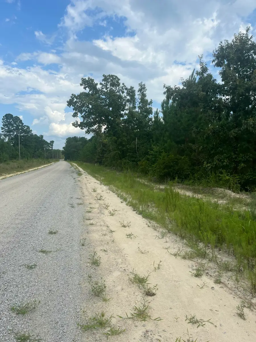 Bff 3a Brunson Teal Road #Bff 3a, Patrick, SC 29584 - Image #3