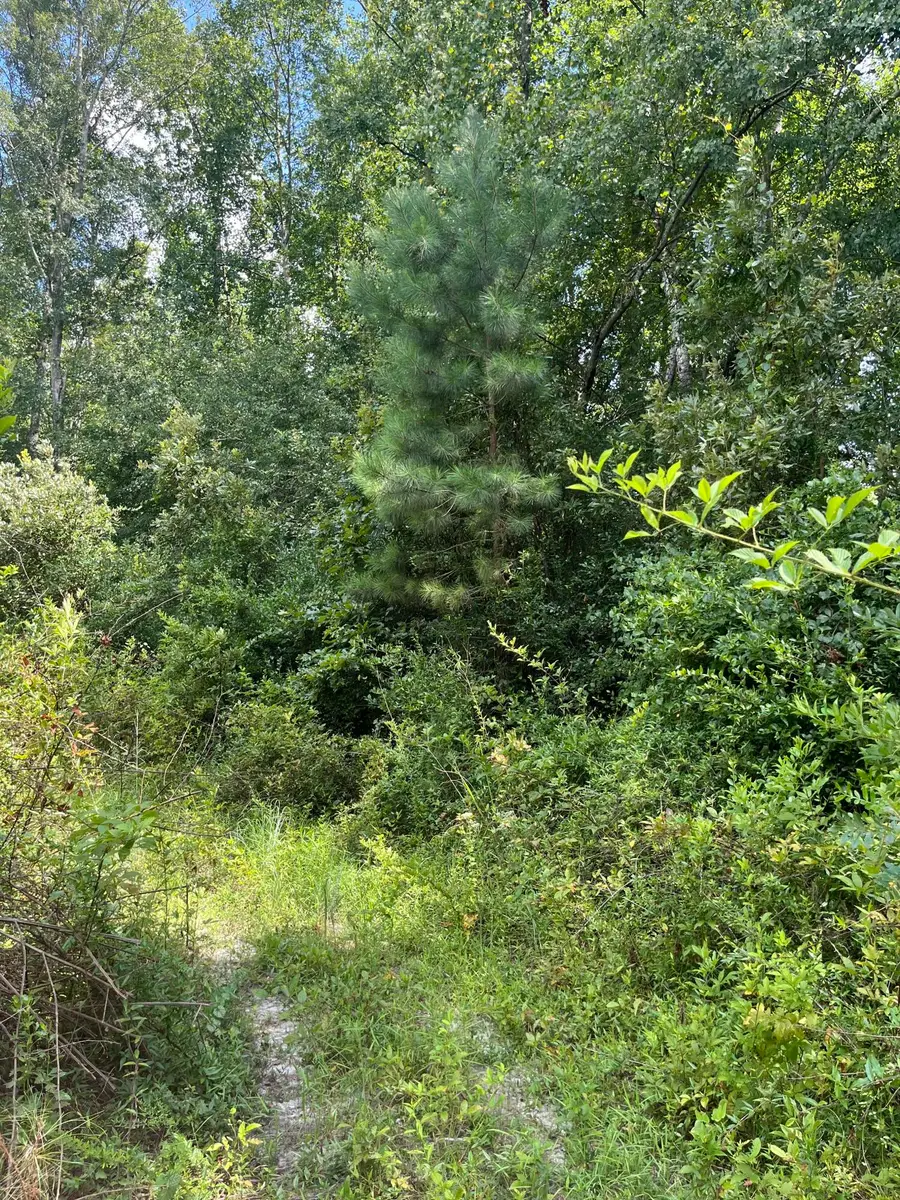 Bff 3b Brunson Teal Road #Bff 3b, Patrick, SC 29584 - Image #2